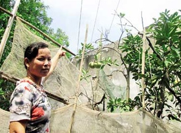 Nhung chuyen dau long o 'thon dien giat' tren dat Thu do hinh anh
