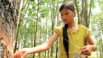 Co be doi hay no cung rang toi truong hinh anh