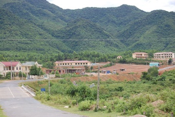 Rung chan lan dau xuat hien tai Quang Tri hinh anh