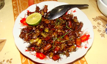 An bo xit den, mot nguoi tu vong, hon 20 nguoi phai cap cuu hinh anh