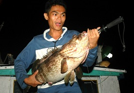 Trang dem san ca 'khung' o Cu Lao Cham hinh anh