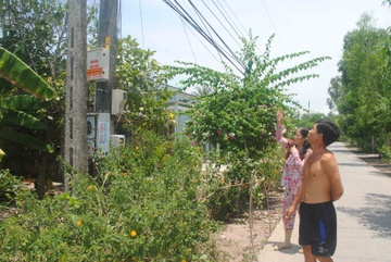 Sua cap quang, mot cong nhan bi dien giat chet hinh anh