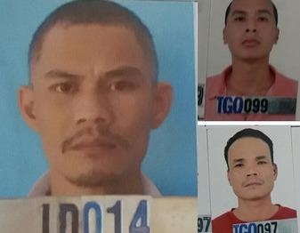Bua luoi bat bang co bac bip bang 'thuoc lu' cua Trung Quoc hinh anh