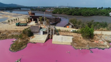 Nuoc dam o Ba Ria - Vung Tau doi mau hong bat thuong hinh anh