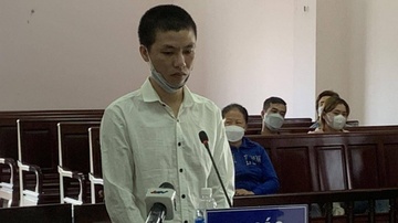 Nguoi dan ong tu vong sau khi bi dam nhieu nhat hinh anh