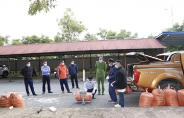 Bat pho giam doc doanh nghiep van chuyen hon mot tan chat doc xyanua hinh anh
