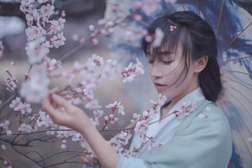 Ly Tu That thiet hai vi kien tung hinh anh
