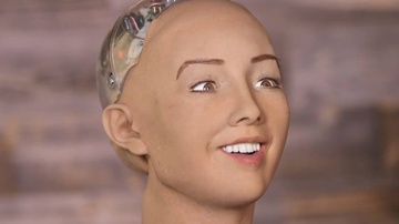 Giam doc AI Facebook: 'Robot Sophia chi la tro lua bip' hinh anh