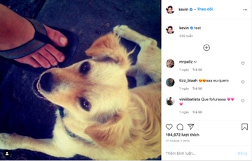 Nghe loi ban gai,  thanh nien sua Instagram kiem ty USD anh 2