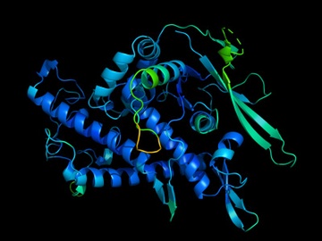 Phan mem AI du doan cau truc protein AlphaFold cua DeepMind anh 2