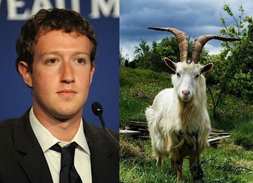 Mark Zuckerberg tung tu tay giet mot con de de dai CEO Twitter hinh anh