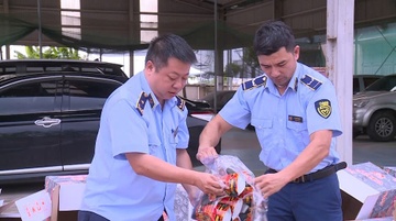 Tieu huy gan 2.000 goi bim bim gia mao nhan hieu 'tam cay Ba Tuyet' hinh anh