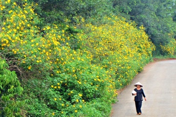 Thang 10 di giua mien man da quy vang Tay Nguyen hinh anh