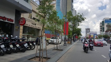 TP.HCM thay cay long nao tren tuyen duong vao Tan Son Nhat hinh anh