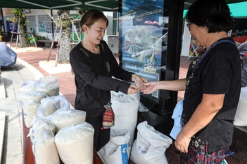 Dai hoc Thai Lan cho sinh vien tra hoc phi bang gao hinh anh