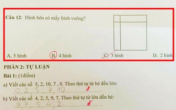 Bai toan dem hinh vuong 'co hay tro sai' gay tranh cai hinh anh