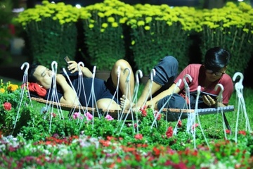 Tieu thuong va vat trang dem canh hoa Tet hinh anh