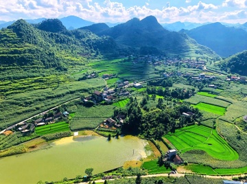 Ha Giang 'song tren da, lam giau tu da' hinh anh