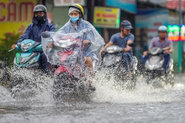 TP.HCM va Nam bo buoc vao dot mua dong dien rong hinh anh