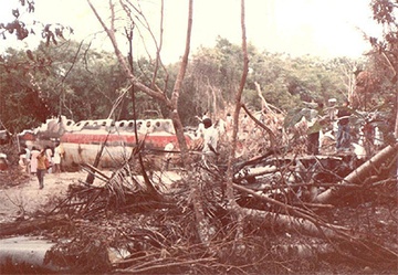 Vu khong tac bi an suot 37 nam cua phi co Malaysia Airlines hinh anh