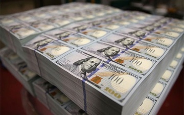 Chan vu van chuyen 200.000 USD gia vao Viet Nam hinh anh