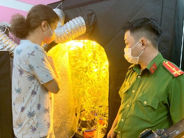 Nguoi nuoc ngoai trong, che bien can sa tinh vi trong phong ngu hinh anh