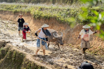 Ban nho Lao Cai dong khach sau chuong trinh Gia Dinh Haha hinh anh
