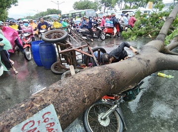 Co thu bat goc de gay chan nguoi di duong o Sai Gon hinh anh