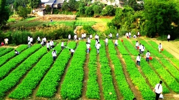 Mo hinh 'Truong hoc - nong trai' tren non cao hinh anh