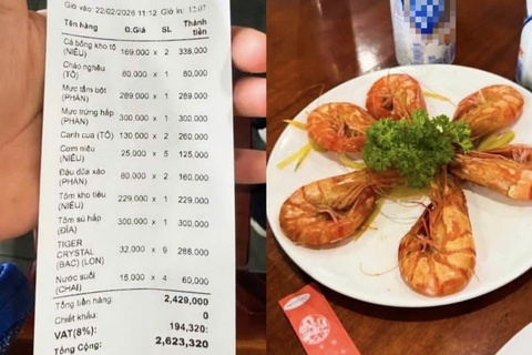 Tranh cai dia tom su 6 con gia 300.000 dong o Phu Quoc hinh anh