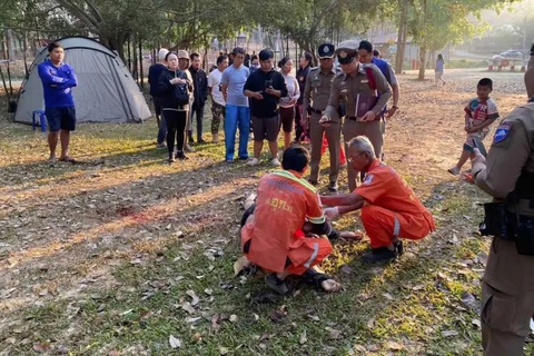 Voi hoang dam chet du khach tai Thai Lan hinh anh