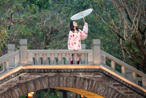 Thung Ui gay that vong hinh anh