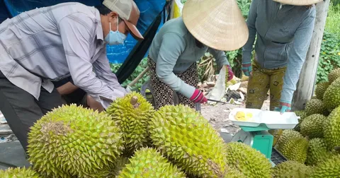 Sot ruot vi gia sau rieng hinh anh