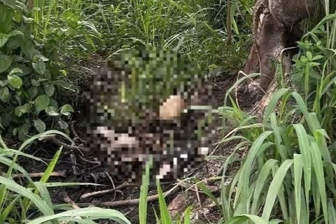 Keu goi cung cap thong tin vu bo xuong nguoi trong khu do thi DHQG TP.HCM hinh anh
