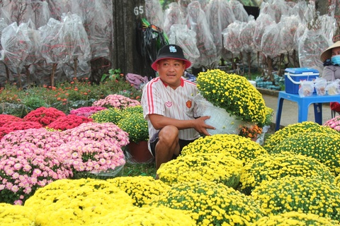 Cho hoa xuan vang chu vuon hinh anh