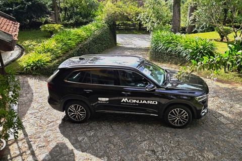 Oto Trung Quoc - nhin lai mot nam 'khuay dong' thi truong xe Viet hinh anh