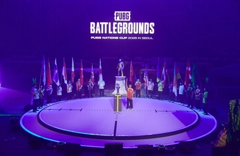 Tuyen Viet Nam sau 'World Cup PUBG' hinh anh