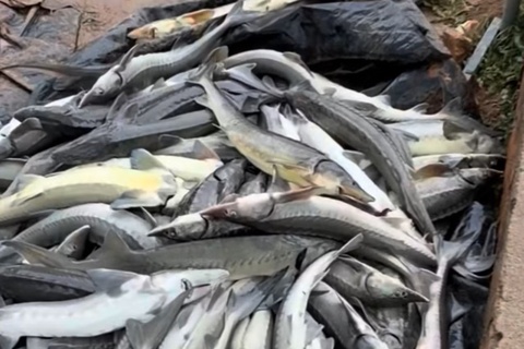 Chang trai khoc nghen khi hon 30 tan ca tam chet trang hinh anh