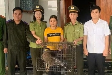 Dong vat 'la' xuat hien trong khu dan cu hinh anh