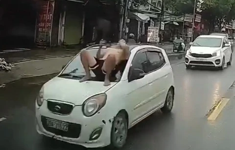 Nguoi dan ong nam tren capo o to dang chay giua pho Ha Noi hinh anh
