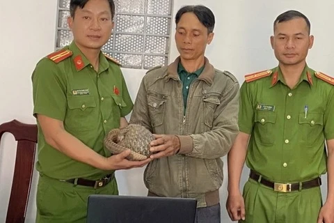 Te te Java quy hiem di lac vao nha dan hinh anh