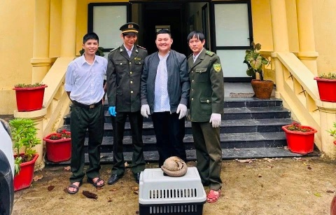 Mot cuoc goi giup kiem lam cuu con vat quy hiem hinh anh