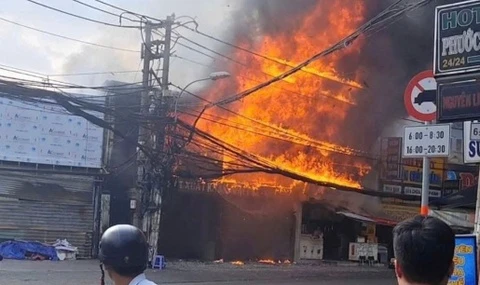 Chay ngun ngut o TP.HCM hinh anh