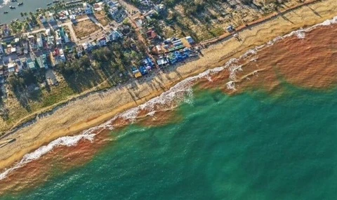 Nguyen nhan xuat hien vet nuoc nau do ky la o bien Gia Lai hinh anh