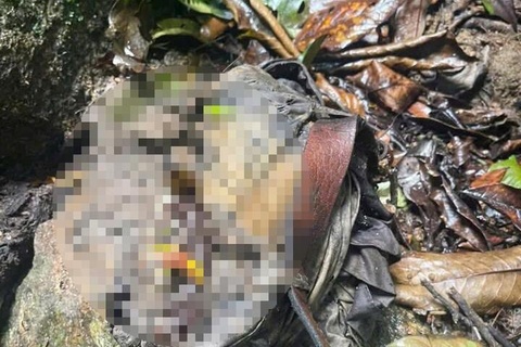 Phat hien bo xuong nguoi o bia rung hinh anh