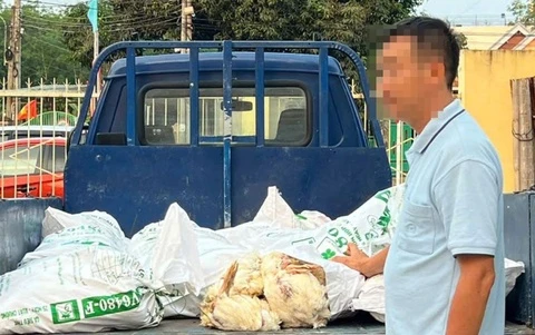 Bat chap xu phat, tai xe o TP.HCM cho 450 kg ga 'ban' di tieu thu hinh anh