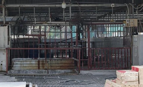 Can canh lo mo tuon gan 300 tan lon benh vao truong hoc o Ha Noi hinh anh