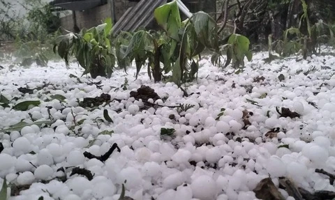 Mua da kem dong loc set khien 4 nguoi chet hinh anh