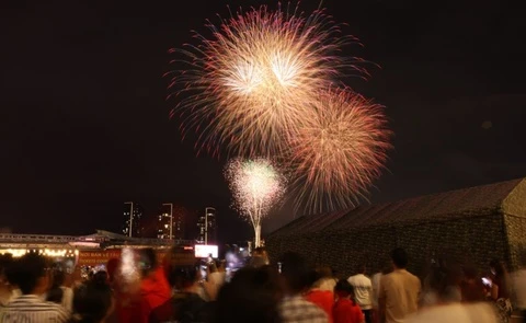 TP.HCM ban phao hoa tai 8 diem dip 30/4 va 1/5 hinh anh