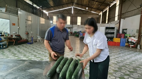 Tiet lo 'hoa hong' cho hieu truong de tuon thit lon benh vao truong hinh anh